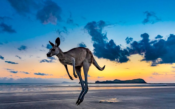 Australien, Multivisionsshow von Aneta & Dirk Bleyer