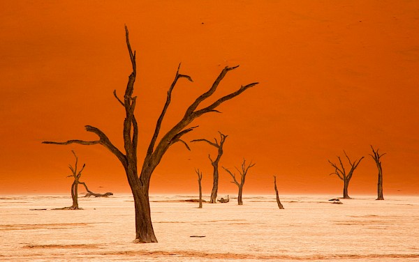 Traumhaftes Namibia