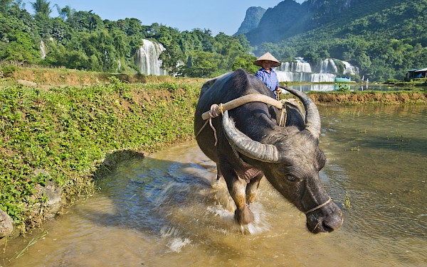 Vietnam - Abenteuer im Land der Drachen